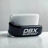 BUSHIDO DBX Ferro bokso štanga