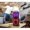 Dėklas Blaupunkt PB06DB Bluetooth karaokės garsiakalbis