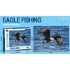 Dėlionė Jigsaw Puzzle Eagle Fishing, 1000 det
