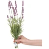 AmeliaHome Dirbtinė gėlė Lavi, 18 cm, 10 vnt