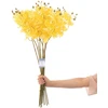 AmeliaHome Dirbtinė orchidėja Falení Honey, 10 vnt