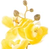 AmeliaHome Dirbtinė orchidėja Falení Honey, 10 vnt