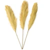 Dirbtinė pampų žolė AmeliaHome PAMPLY, 110 cm, 3 vnt. spalva: medaus