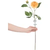 AmeliaHome Dirbtinės pionijos Ginger, 10 vnt