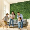 VEVOR Dirbtinės žolės sieniniai paneliai 100 x 300 cm