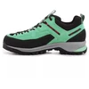 Dragontail Tech GTX WMS W 002474 Žygio batai