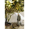 Dulkių siurblys KARCHER WD 6 PS V-30/6/22/T -1.628-360.0