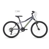 Dviratis CTM Berry 24"