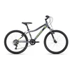 Dviratis CTM Berry 24"