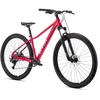 Dviratis CTM Charisma 1.0 29" dydis L