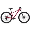 Dviratis CTM Charisma 1.0 29" dydis L