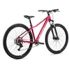 Dviratis CTM Charisma 1.0 29" dydis L