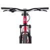 Dviratis CTM Charisma 1.0 29" dydis L