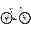 Dviratis CTM Charisma 1.0 29" dydis L