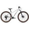 Dviratis CTM Charisma 3.0 29" dydis L