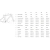 Dviratis CTM Koyuk 2.0 700C dydis XL
