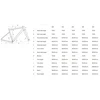 Dviratis CTM Koyuk 3.0 700C