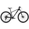 Dviratis CTM Rambler 1.0 29"