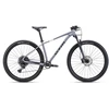 Dviratis CTM Rascal 1.0 29''