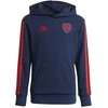 Džemperis Adidas Arsenal London FC Junior KG5138
