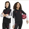 Džemperis su gobtuvu Adidas Liverpool FC Tiro 26 Hoody Junior KB5754