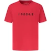 Dziecięcy T-shirt Jordan su nadrukiem i haftem