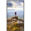 Monitorius Sharp E439 43 colių LFD UHD 350CD/M2 D- - FONINIS APŠVIETIMAS 16/7 ĮSPĖJIMAS USB MEDIAPL