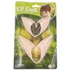 Elfo ausys
