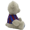 Cyp Brands FC Barcelona talizmano pliušinis meškinas 35 cm M93-01BC