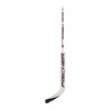 Fischer GF550 Sr '20 H17720.27 Hibridinė vartininko lazda