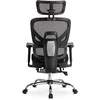 Biuro kėdė Ergonomiczny Obrotowy KAIR Juodas
