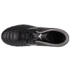 Futbolo batai Mizuno Monarcida Neo III FG M P1GA242503