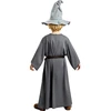 Gendalfo (Gandalf) kostiumas berniukams – Žiedų valdovas (The Lord of the Rings)