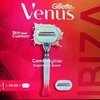 Gillette Venus Comfortglide Sugarberry kvapo dovanų rinkinys moterims