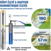VEVOR Giluminis panardinamasis siurblys, 1100W, 230V, 190L/min 57m