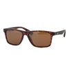 Goggle Glasses Oxnard E202-4P