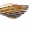Grandininis pjūklas Elegantiška 36x26x14 cm stiklo lėkštė