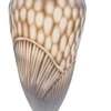 Stiklinė vaza „Forma Lumo“, 15 × 15 × 43 cm