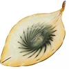 Grandininis pjūklas Stiklinis dekoratyvinis indas, 54×28×13 cm