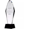 Graviruotas stiklinis trofėjus, 31 cm