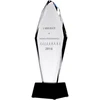Graviruotas stiklinis trofėjus, 31 cm