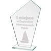 Graviruotas stiklinis trofėjus