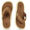 Gumbies vyriškos šlepetės NOOSA FLIP-FLOP LATTE