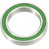Guolis Enduro Bearings S6806/29LB Stainless Steel