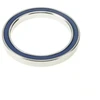 Guolis Enduro Bearings S6810 LLB Stainless Steel Radial