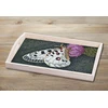 HAMA ART kūrybinis karoliukų rinkinys BUTTERFLY