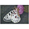 HAMA ART kūrybinis karoliukų rinkinys BUTTERFLY