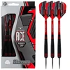 Harrows Ace smiginės su plieniniais antgaliais HS-TNK-000013316