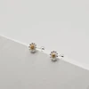 Helix auskarai Camomile