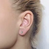 Helix auskarai Focus